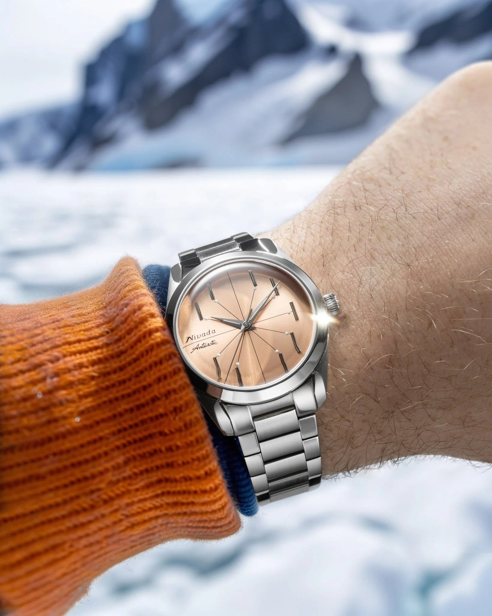 ANTARCTIC SPIDER SALMON - Image 3