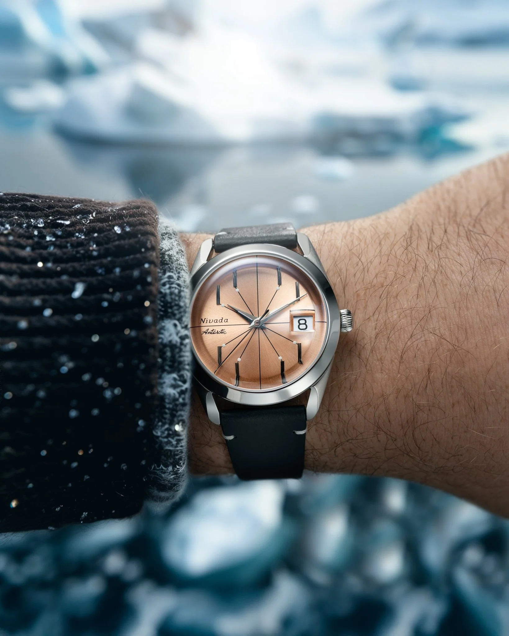 ANTARCTIC SPIDER SALMON - Image 5